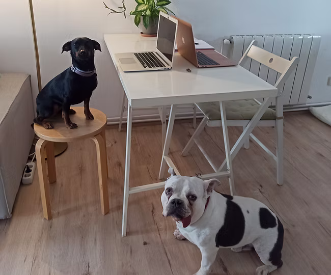 Juno & Byron